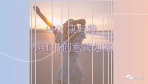 女性湿巾品牌小红书创意策划案【个人护理】【种草营销】【小红书营销】