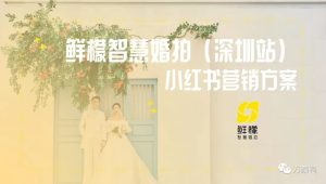 婚纱旅拍品牌小红书营销方案【摄影馆】【婚纱摄影】【种草营销】【探店】