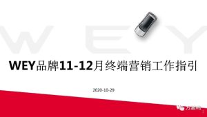国产汽车品牌双月终端营销工作指引【汽车】【双11】【感恩节】