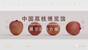 中国荔枝博物馆展示设计规划方案【文旅】【场馆设计】【VI】