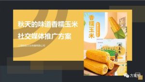 即食玉米品牌社交媒体推广方案【健康速食】【种草带货】【KOL传播】