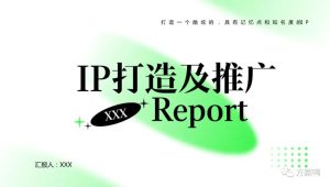 电熊猫IP打造方案【影视】【IP】