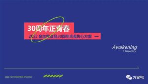 2022企业30周年庆典系列“卅载正青春”活动策划方案【周年庆】