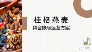 燕麦品牌抖音账号运营方案【食品】【代餐】【短视频运营】