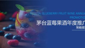 2023白酒集团旗下蓝莓果酒品牌年度推广策略提案【果酒】【品牌传播】