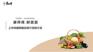 方便面品牌鲜蔬面新品上市媒介传播计划【方便食品】【种草营销】