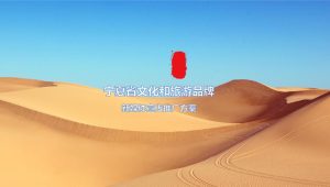 西北省份文旅新媒体宣传推广方案【旅游】【文旅推广】