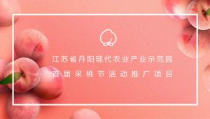 现代农业产业示范园采桃节策划推广方案【农业示范园】【采摘活动】