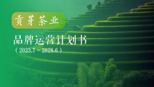 2023-2028年茶业品牌运营计划书整合营销策略方案【茶叶运营】【品牌全案】