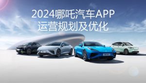 国产智能汽车品牌APP运营2024策划方案【汽车】【用户运营】