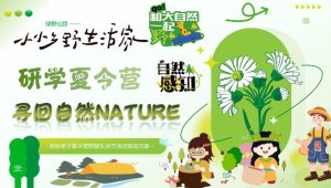 2024夏季研学夏令营“寻回自然NATURE”活动策划方案【学生活动】.pptx