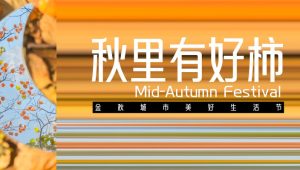 2024商业广场金秋城市美好生活节“秋里有好柿”活动策划方案【秋季活动】