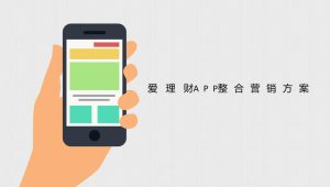 线上理财APP整合营销方案【金融】【APP运营】【APP推广】【百度投放】