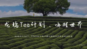 【龙坞Tea计划】茶文化节集市市集活动策划方案【茶主题活动】