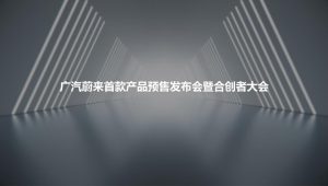 国产电动汽车新车型产品预售发布会暨首届合创者大会活动策划方案【汽车】【新车型上市】